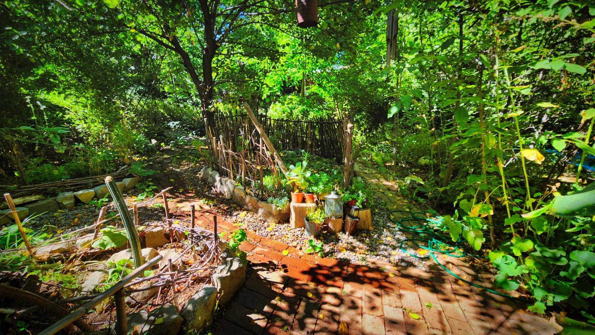 El Jardin, Eco Cabanas Boutique 圣阿方索 外观 照片