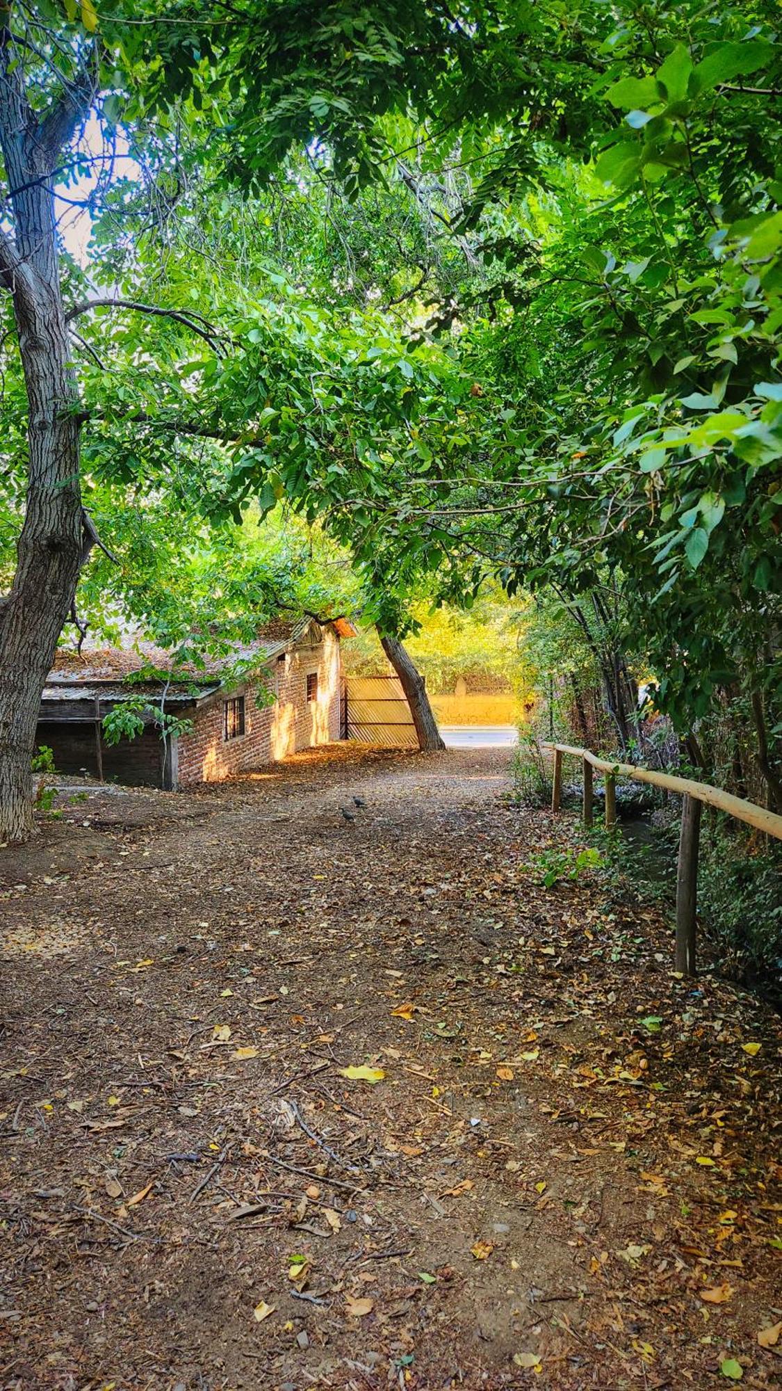 El Jardin, Eco Cabanas Boutique 圣阿方索 外观 照片