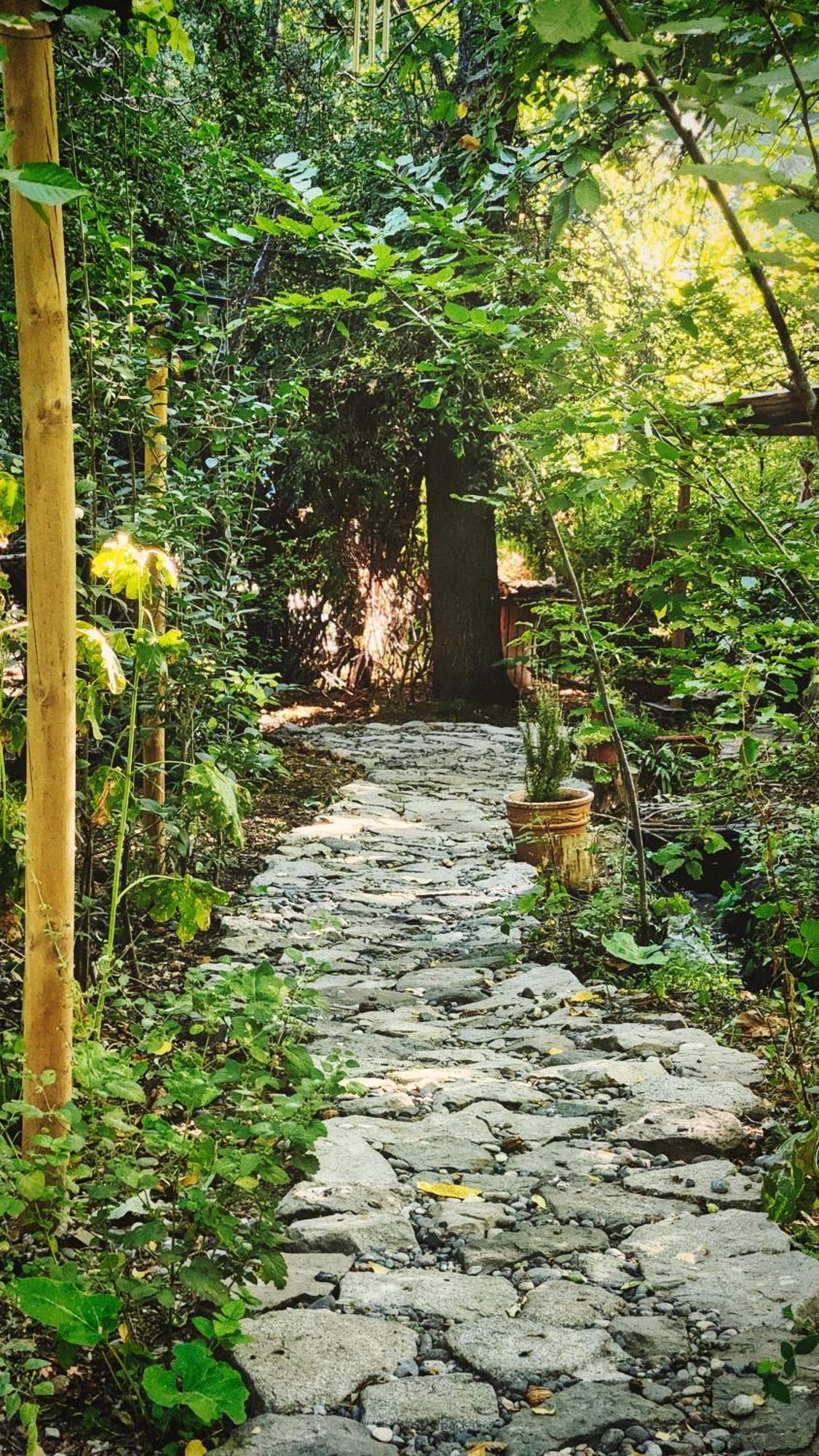 El Jardin, Eco Cabanas Boutique 圣阿方索 外观 照片