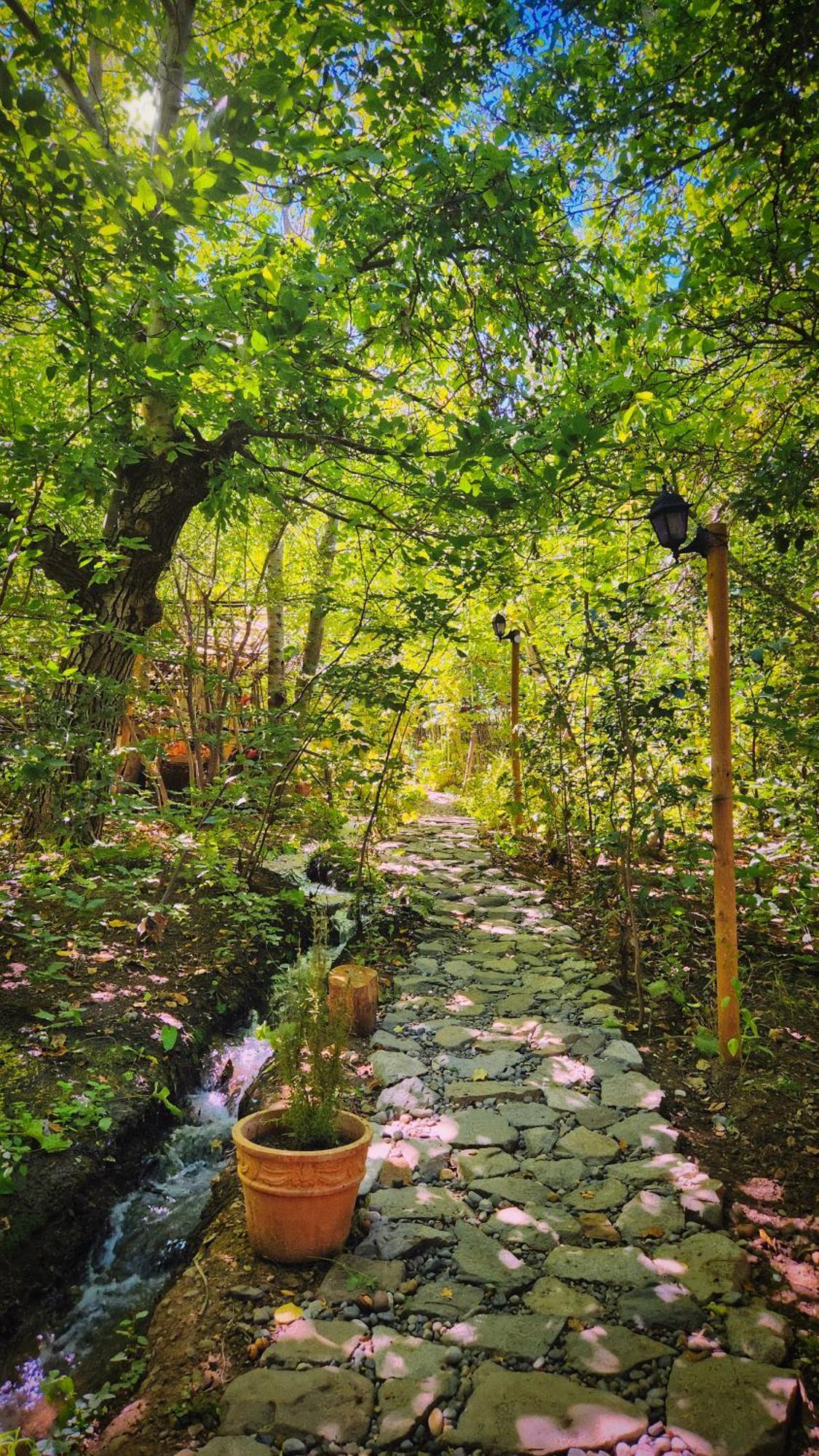 El Jardin, Eco Cabanas Boutique 圣阿方索 外观 照片