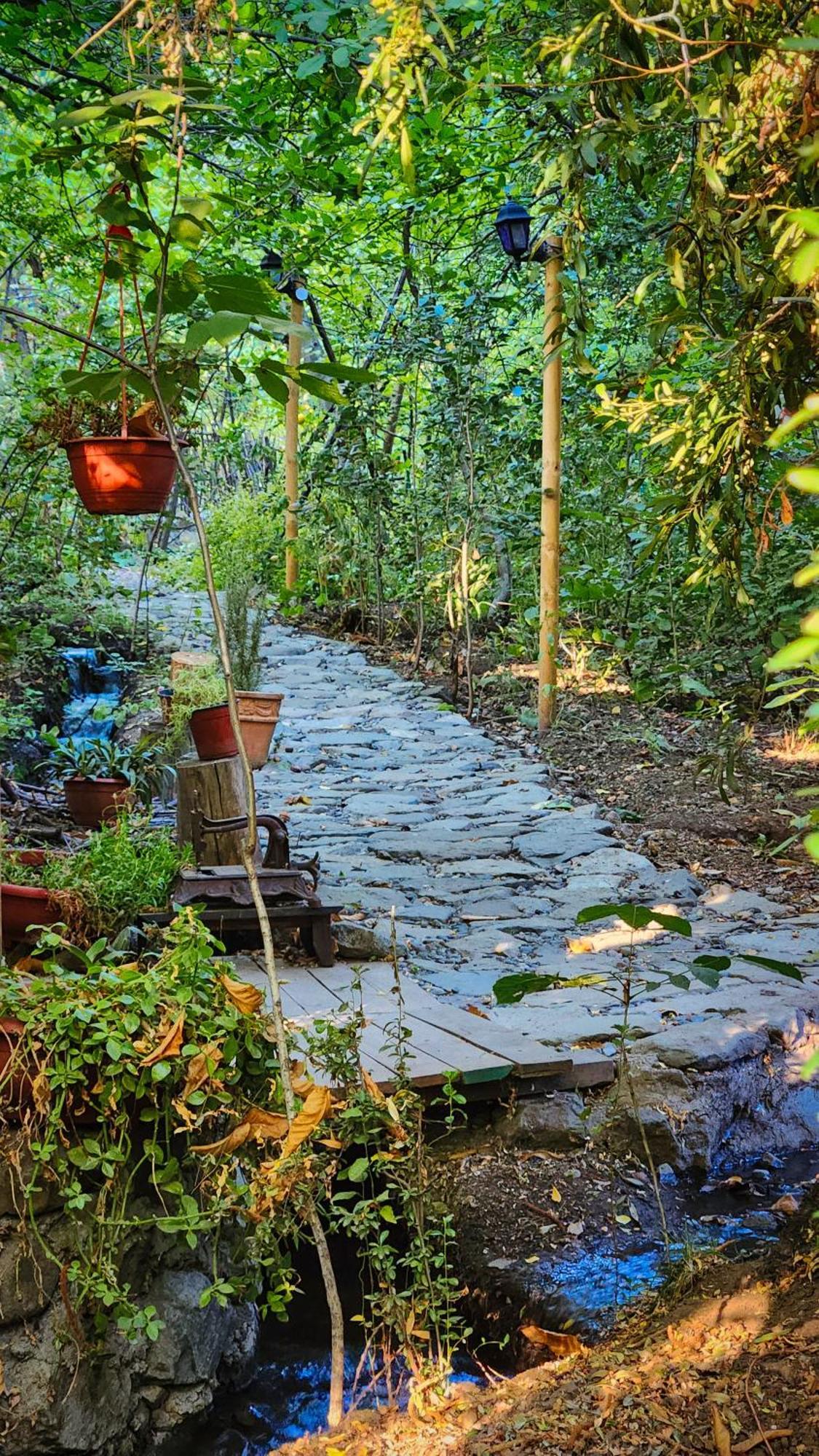 El Jardin, Eco Cabanas Boutique 圣阿方索 外观 照片