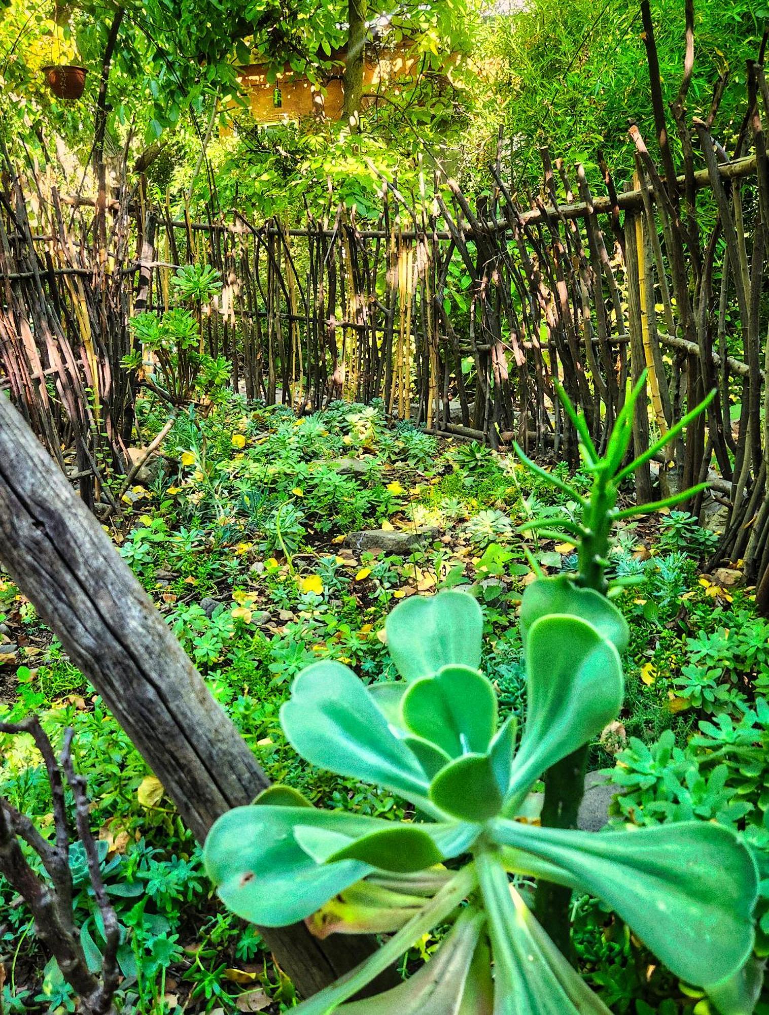 El Jardin, Eco Cabanas Boutique 圣阿方索 外观 照片
